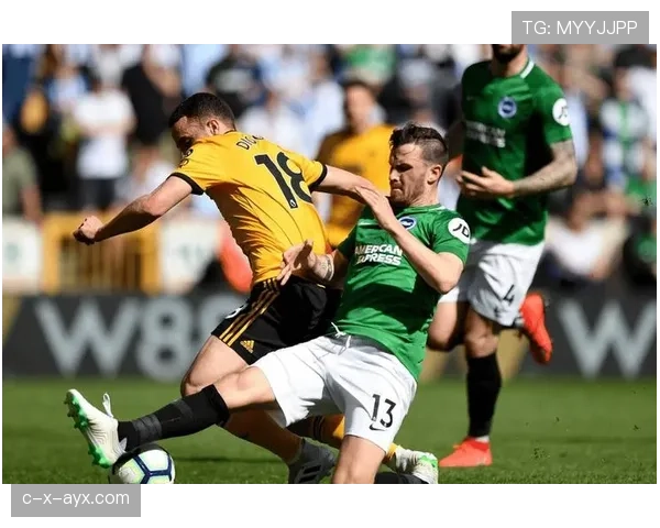 克里斯·伍德状态火热闪耀英超，关键进球助球队力克强敌