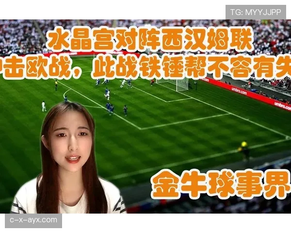 伦敦铁锤队新赛季目标明确：全力冲击欧战资格