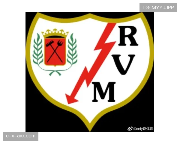 巴列卡诺球队结构