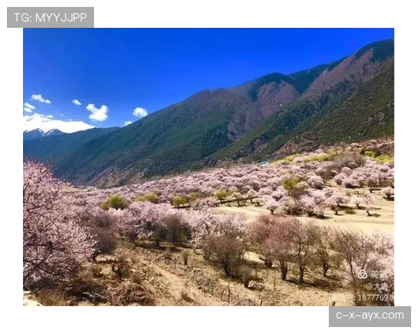 汪周雨上半场像大片男主，下半场像来领快递的邻居，这反差笑死我了